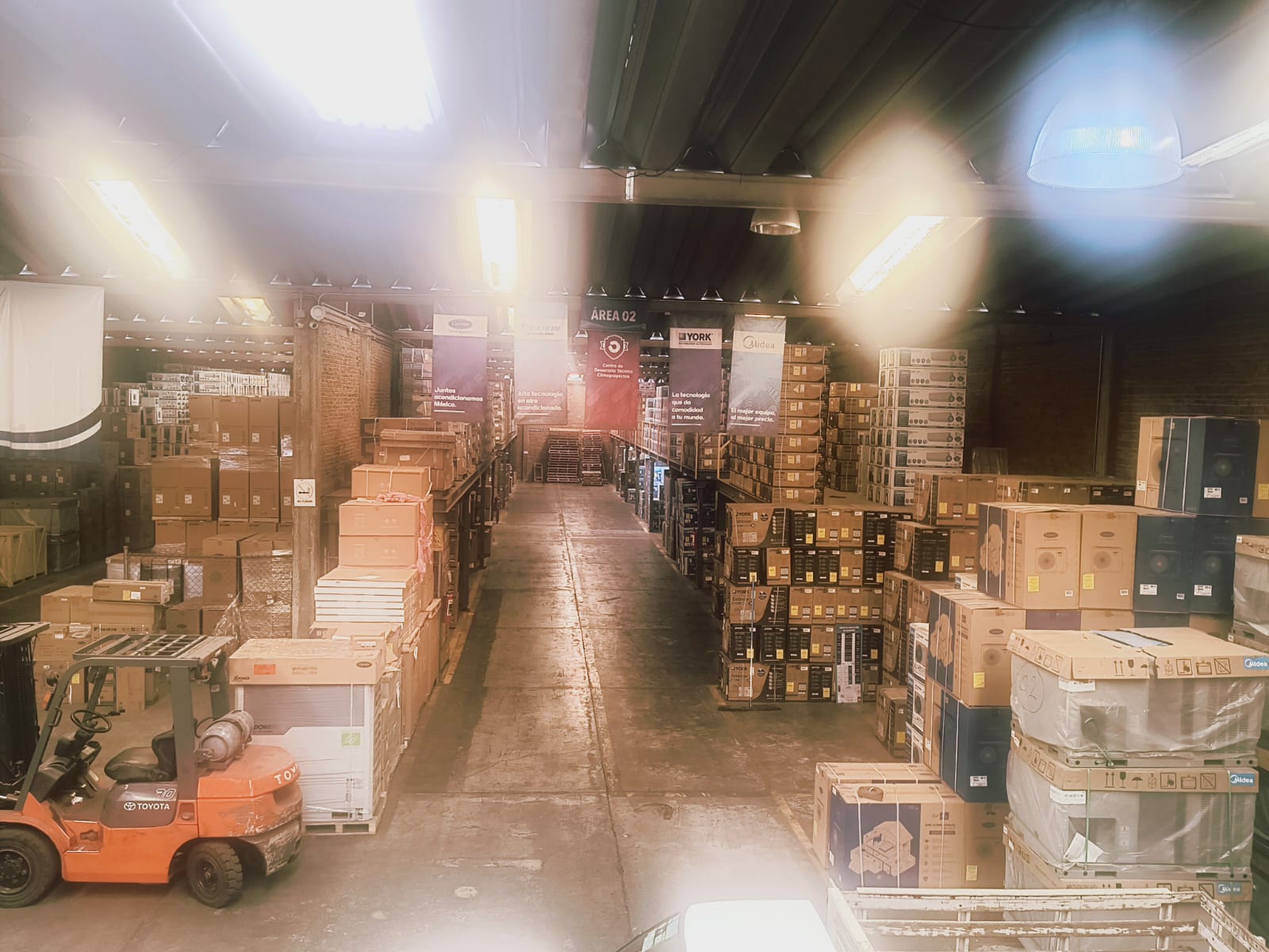 bodegagdl